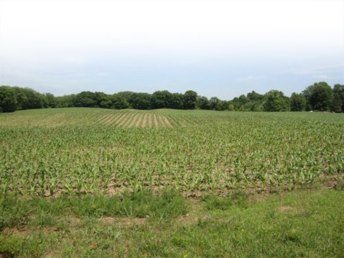 Property photo 5 - 120 Acres Offered in 9 Tracts - Real Estate & Personal Property Auctions